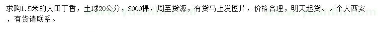 求購1.5米大田丁香