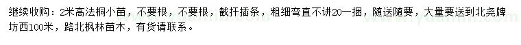 求購(gòu)高2米法桐苗