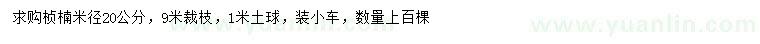 求購米徑20公分楨楠 