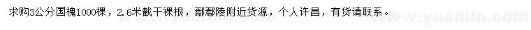 求購3公分國槐