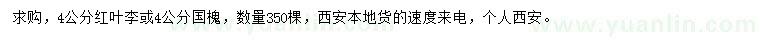 求購4公分紅葉李、國槐