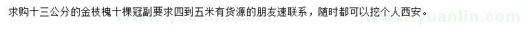 求購(gòu)13公分金枝槐