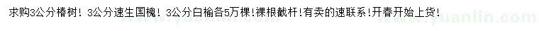 求購椿樹、速生國槐、白榆