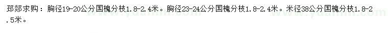 求購胸徑19-20、23-24公分國槐、米徑38公分國槐