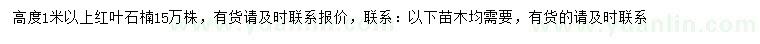 求購(gòu)高度1米紅葉石楠