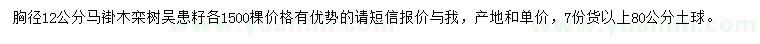 求購胸徑12公分馬褂木、欒樹、無患子