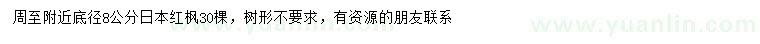 求購(gòu)地徑8公分日本紅楓