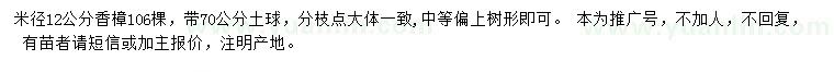 求購米徑12公分香樟