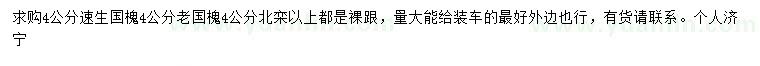 求購4公分速生國槐、老國槐、北欒