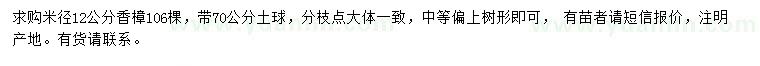 求購米徑12公分香樟