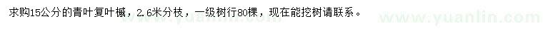 求購15公分青葉復(fù)葉槭