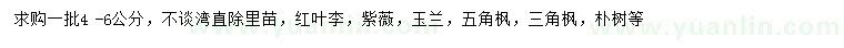 求購4 -6公分紅葉李、，紫薇、玉蘭等