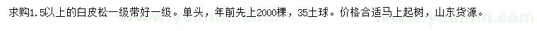 求購(gòu)1.5以上的白皮松