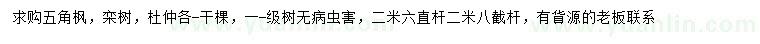 求購五角楓、欒樹、杜仲