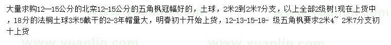 求購北欒、五角楓、法桐