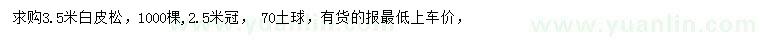 求購3.5米白皮松