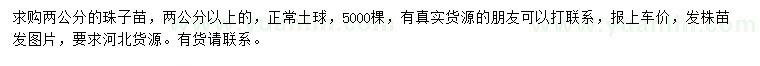 求購2公分珠子苗