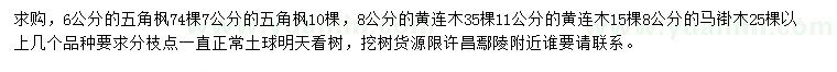 求購(gòu)五角楓、黃連木、黃連木