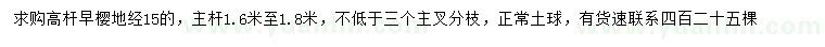 求購地徑15公分高桿早櫻