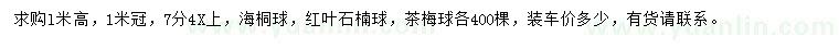 求購海桐球、紅葉石楠球、茶梅球