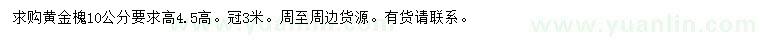 求購10公分黃金槐