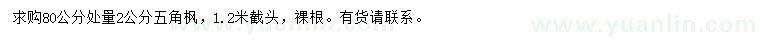求購80公分量2公分五角楓