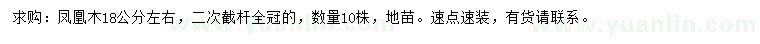 求購18公分鳳凰木