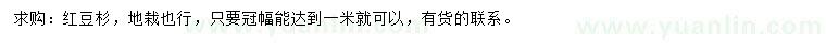 求購(gòu)冠幅1米紅豆杉