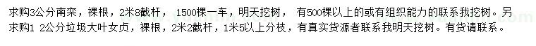 求購3公分南欒、12公分大葉女貞