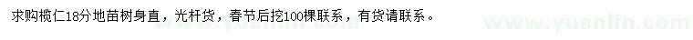 求購18公分欖仁