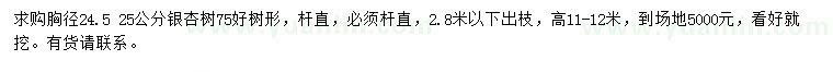 求購胸徑24、25公分銀杏