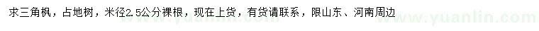 求購米徑2.5公分三角楓