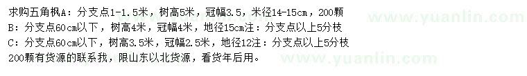 求購(gòu)高3.5、4、5米五角楓