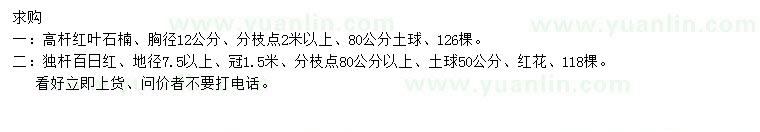 求購胸徑12公分高桿紅葉石楠、地徑7.5公分以上百日紅