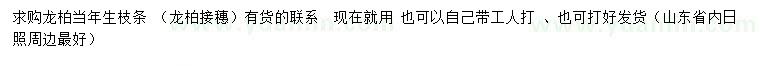 求購當(dāng)年生龍柏枝條