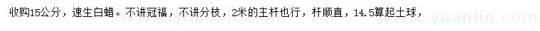 求購15公分速生白蠟