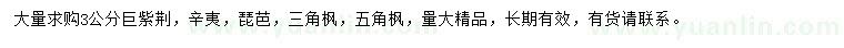 求購巨紫荊、辛夷、枇杷等