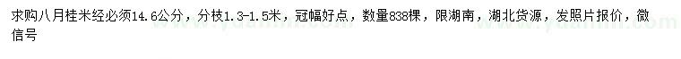求購米徑14.6公分八月桂