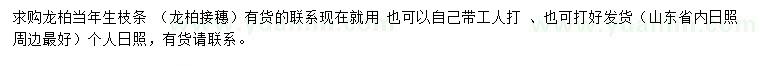 求購龍柏