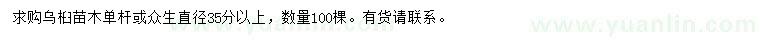 求購(gòu)烏桕