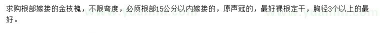 求購金枝槐