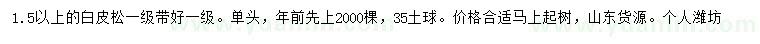 求購1.5公分以上白皮松