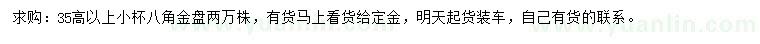 求購高35公分以上八角金盤