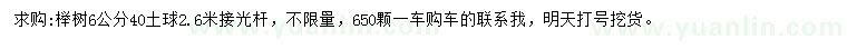 求購6公分櫸樹