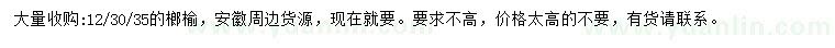 求購12、30、35公分榔榆