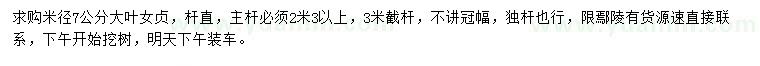求購米徑7公分大葉女貞