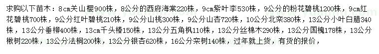 求購關山櫻、西府海棠、紫葉李等