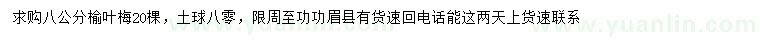 求購8公分榆葉梅