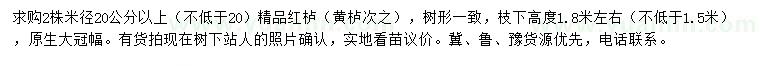 求購米徑20公分以上精品紅櫨