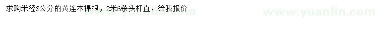 求購米徑3公分黃連木